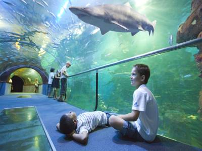 Musée Oceanographique-Aquarium
